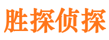 兰西侦探公司